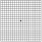 a normal amsler grid