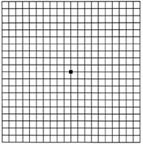 a normal amsler grid