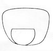 bifocal