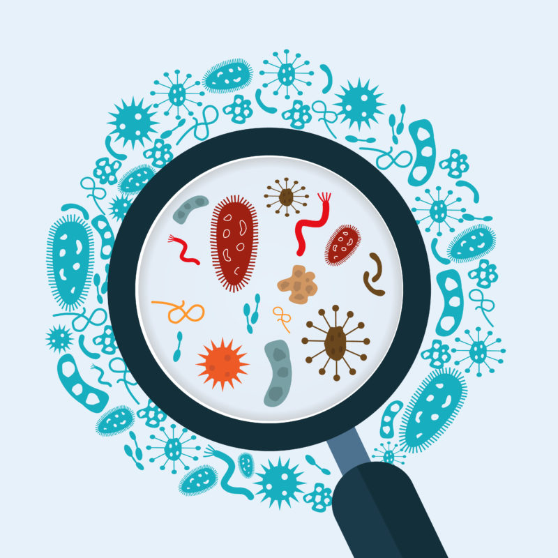 Allergic to Contacts. What You Need to Know