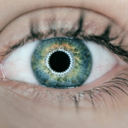 affordable eye doctors