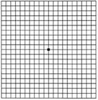 a normal amsler grid